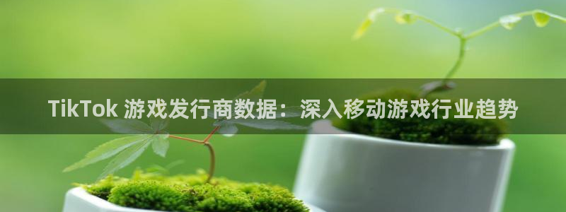 天辰登陆链接：TikTok 游戏发行商数据：深入移动游戏行业趋势