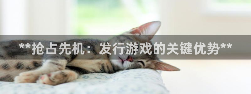 天辰测速登录：**抢占先机：发行游戏的关键优势**