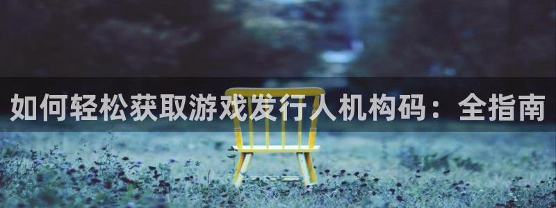 天辰注册叵3300：如何轻松获取游戏发行人机构码：全指南