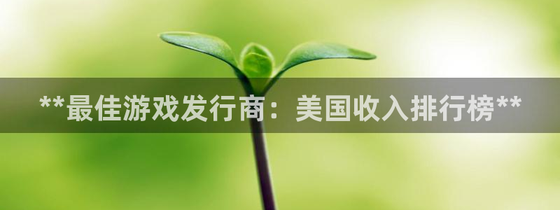 天辰平台登录注册失败：**最佳游戏发行商：美国收入排行榜**