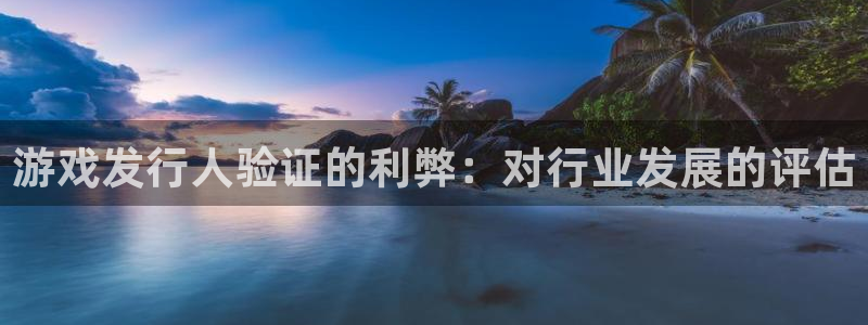 天辰娱乐都是干什么的呀：游戏发行人验证的利弊：对行业发展的评估