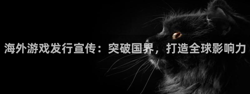 天辰平台用户登录入口：海外游戏发行宣传：突破国界，打造全球影响力