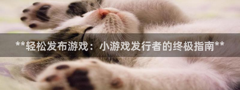 天辰娱乐代理注册平台登录系统错误：**轻松发布游戏：小游戏发行者的终极指南**