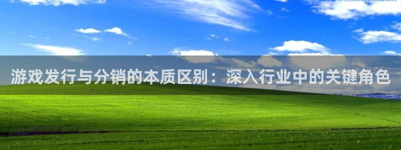 天辰平台孩7O777：游戏发行与分销的本质区别：深入行业中的关键角色