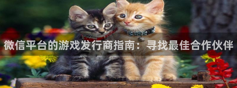天辰娱乐提现：微信平台的游戏发行商指南：寻找最佳合作伙伴