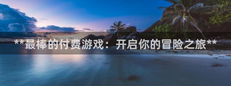 天辰平台李 411O31 平台：**最棒的付费游戏：开启你的冒险之旅**